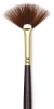 Winsor &amp; Newton Galeria Fan