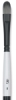 Short Filbert, Size 8