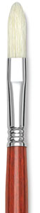 Long Filbert, Size 12