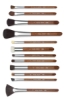 Pastel Brushes