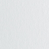 Pro Series Dixie Museum Profile Stretched Canvas