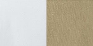 Polyester, Universal Primed