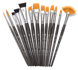 13-Piece Professional Brush Set