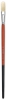 Long Domed Filbert, Size 14