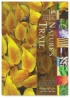 Nature’s Trail, Pkg of 40 Sheets
