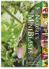 Nature’s Mini Beasts, Pkg of 40 Sheets