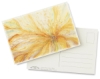 Watercolor Postcard Pad, Sample Artwork