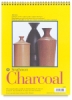 Strathmore 300 Series Charcoal Pad