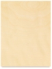 Thin Birch