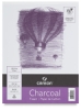 Canson Charcoal Paper