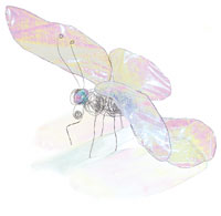 Iridescent Film