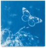 Nature Print Paper