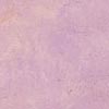 Lavender Lavender