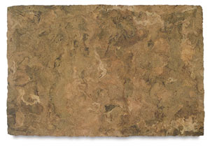 Buckskin