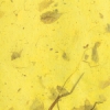 Bright Yellow Bright Yellow