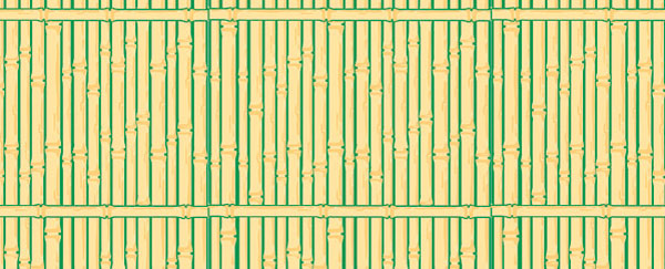 Bamboo