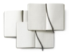 Blank, Lined, and Gridded Notebooks