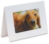 Photo Cards