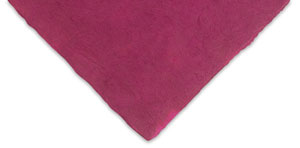 Raspberry