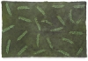 Palm Green/Forest
