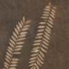 Light Taupe/Ash Brown