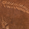 Terracotta/Burnt Sienna