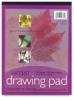 ART1st Drawing Pad