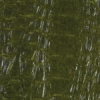 Crocodile Paper, Antique Green