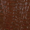 Crocodile Paper, Brown