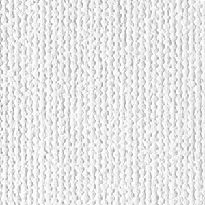 Artist Canvas Water-Resistant Matte