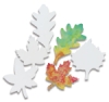 Leaf Shapes, Pkg of 80