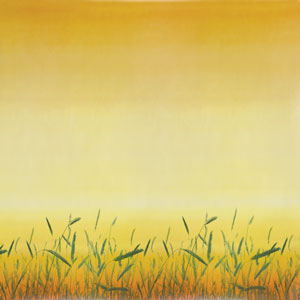 Prairie Grass