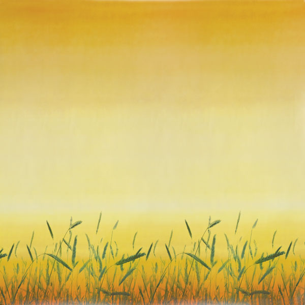 Prairie Grass