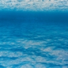 Under Sea