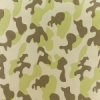 Desert Camouflage