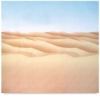 Desert Sand&nbsp; NEW! 