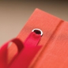 Ribbon Detail