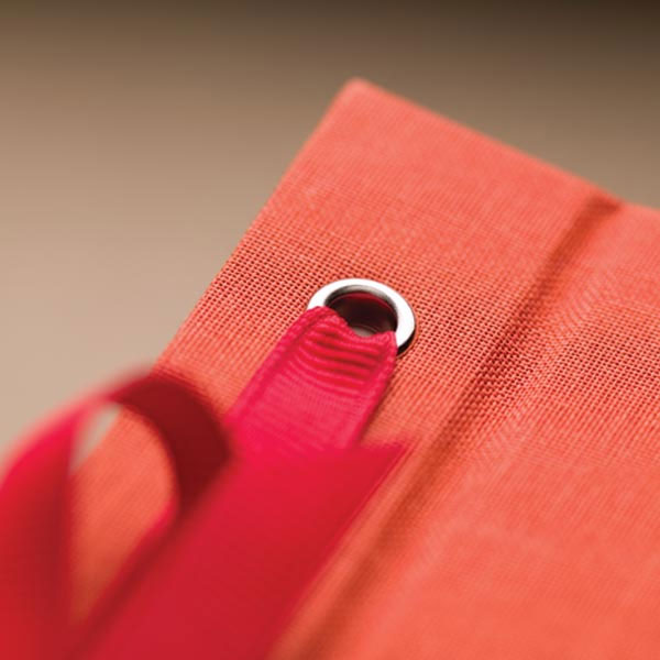 Ribbon Detail