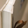 Spine Detail