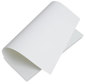 Museum Barrier Paper