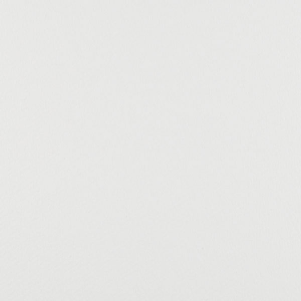 Palm Beach White
