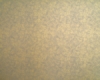 Gilded Gold