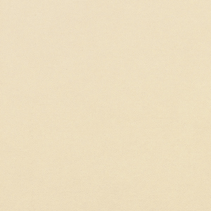 Pale Ivory
