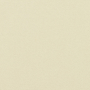Antique White Texture