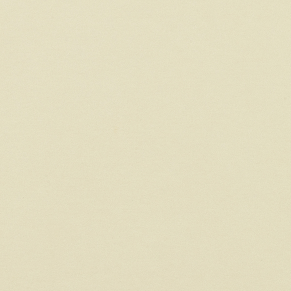 Antique White Texture