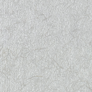Luster Parchment Matboard, Silver