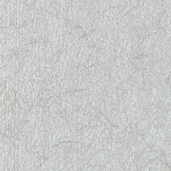 Luster Parchment Matboard, Silver
