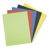 Pacon Super Value Posterboard