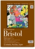 Vellum Bristol Pad, 15 Sheets 9" × 12"