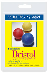 300 Series Vellum Bristol
